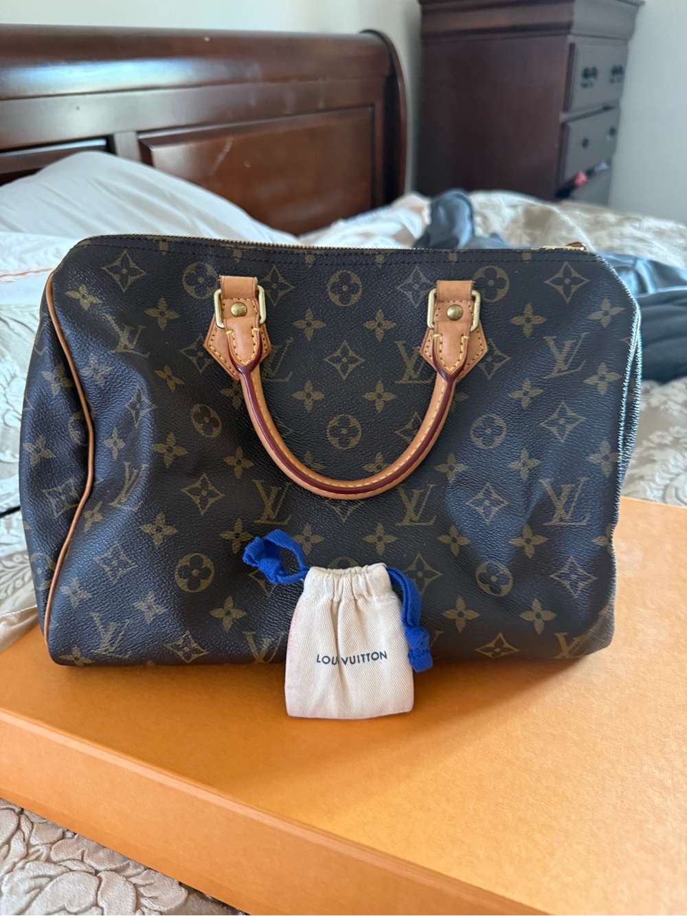 Louis Vuitton Monogram Canvas Satchel with Natural Vachetta Trim